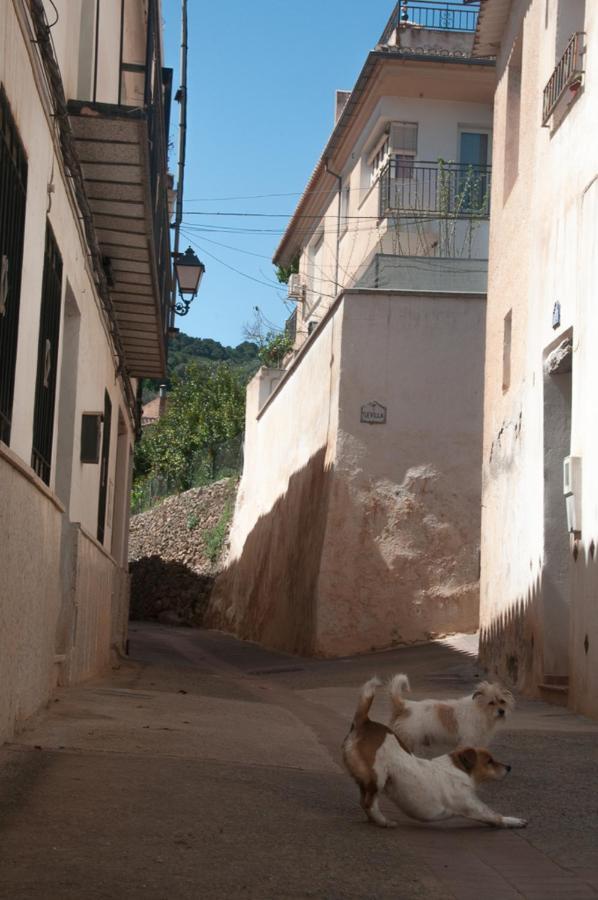 Casa Beatles Del Valle Pinos del Valle Exterior photo
